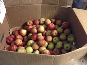 1/3 of the remaining apples