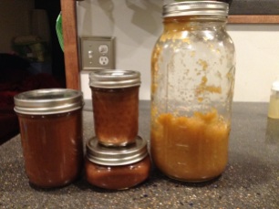 Canned apple butter and my remaining fermented apple sauce. Yummy!!